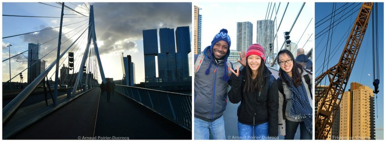 Visite Rotterdam